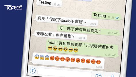 雙灰剔意思|隱藏 WhatsApp 雙藍剔秘技